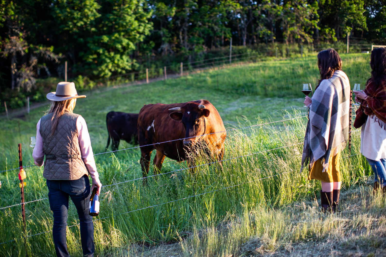 Vistiting the cows, part of Analemma's biodynamic farming practices. during an Exploratory Field Tasting