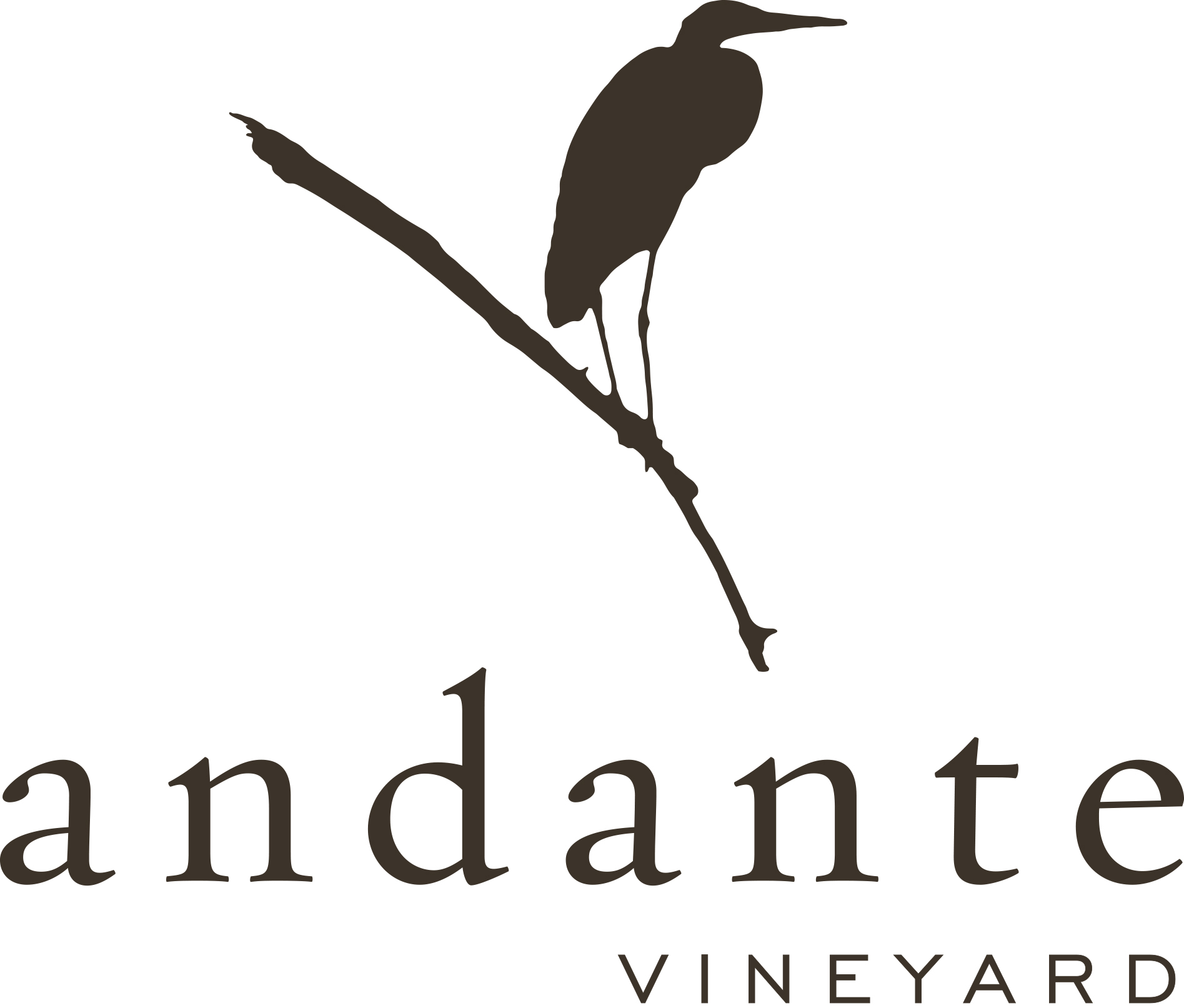 Andante Vineyard