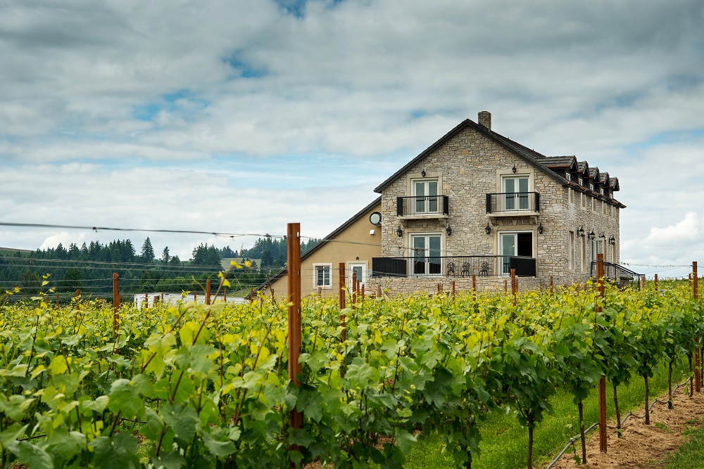 Björnson Vineyard