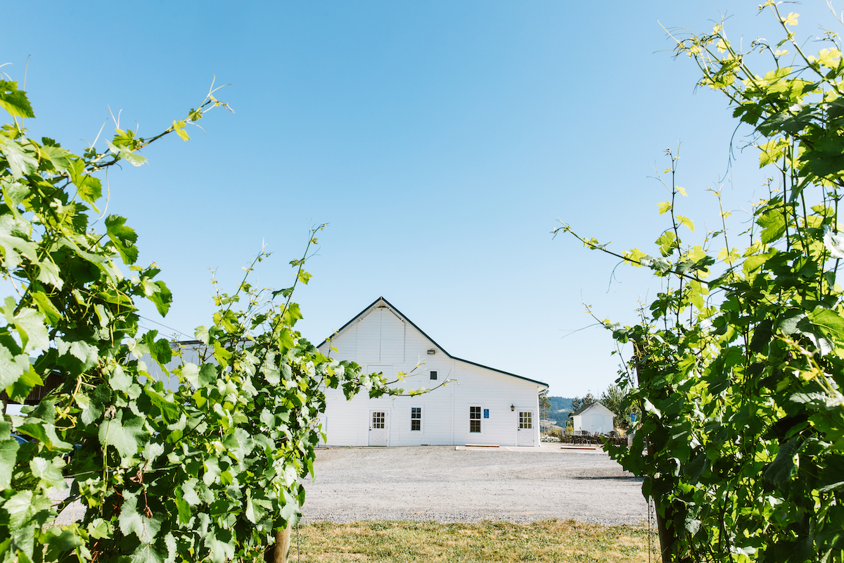 Arborbrook by Cooper Mountain Vineyards