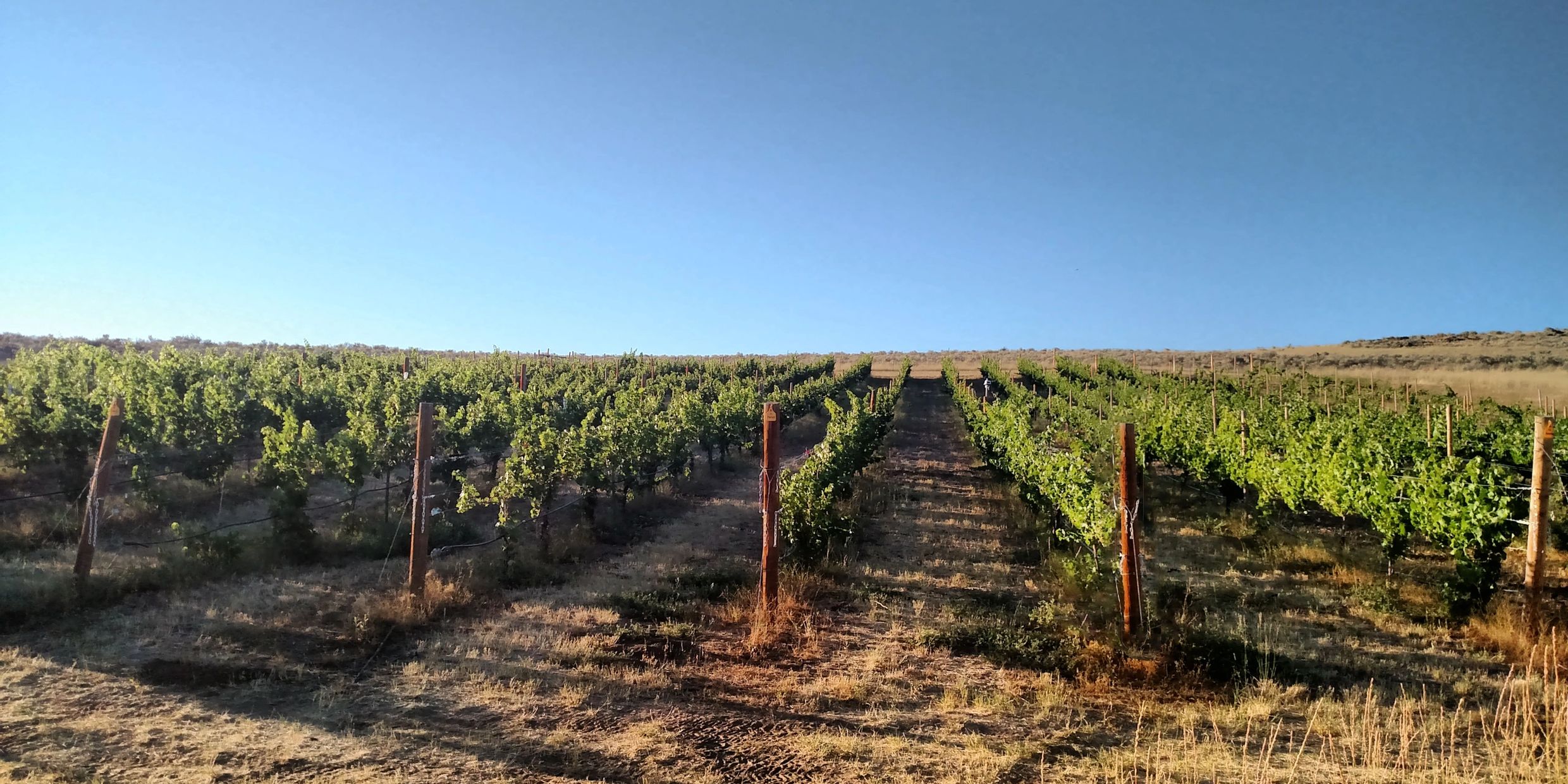 Snake River Valley AVA