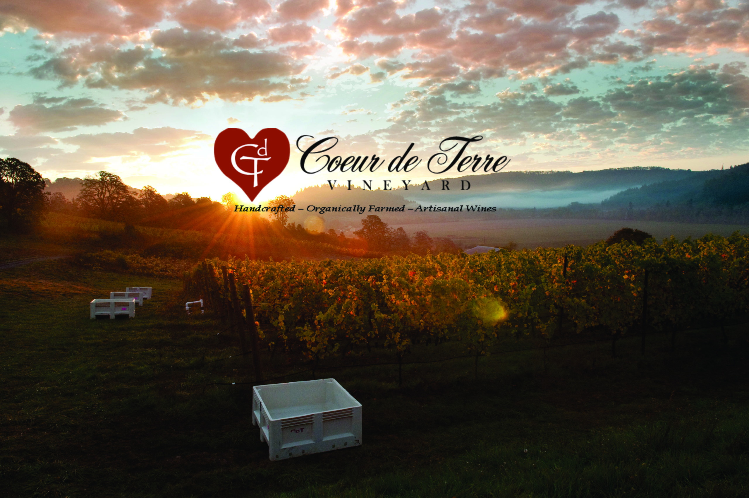 Coeur de Terre Vineyard