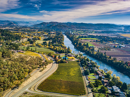 Cooper Ridge Vineyard