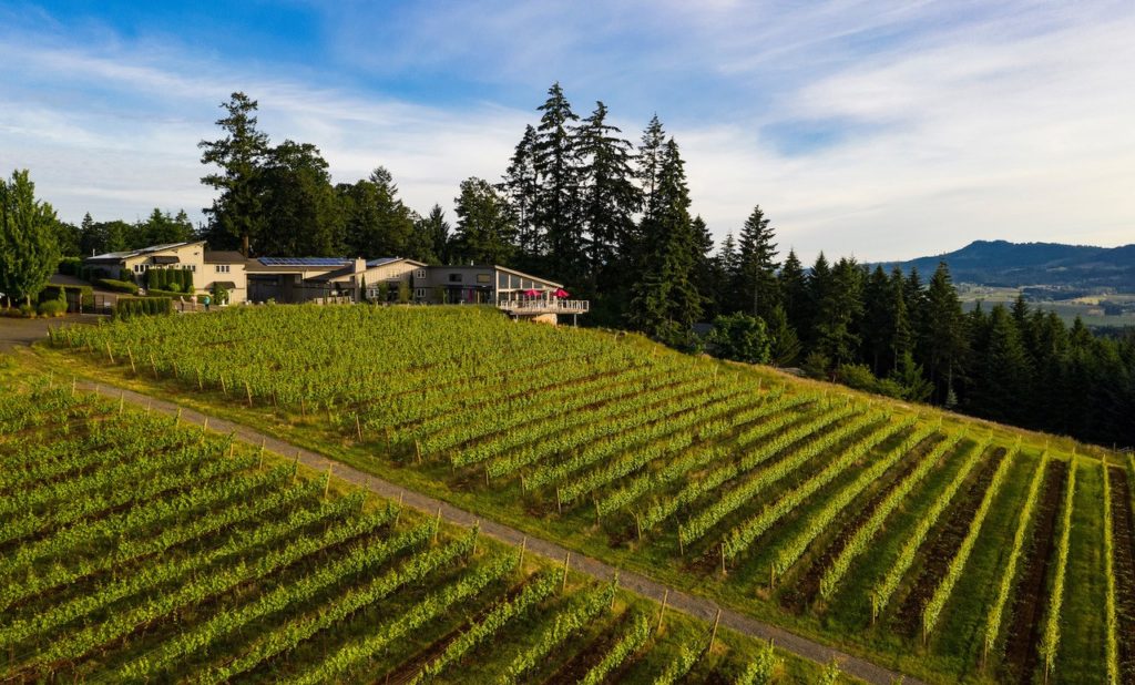 vista view of lange estate winery and vineyard