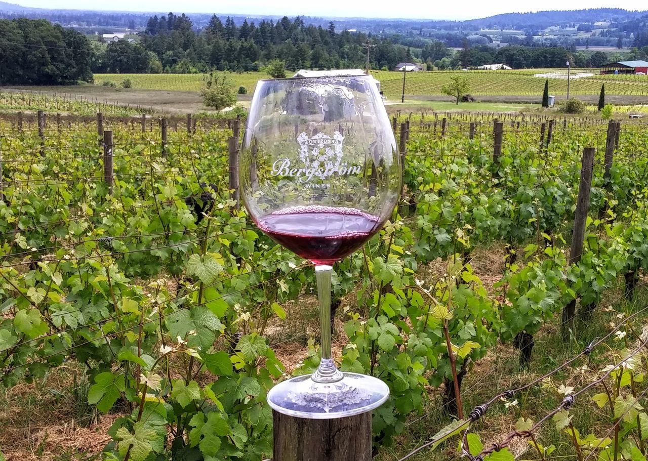 A glass of red wine sits on a post in a vineyard.