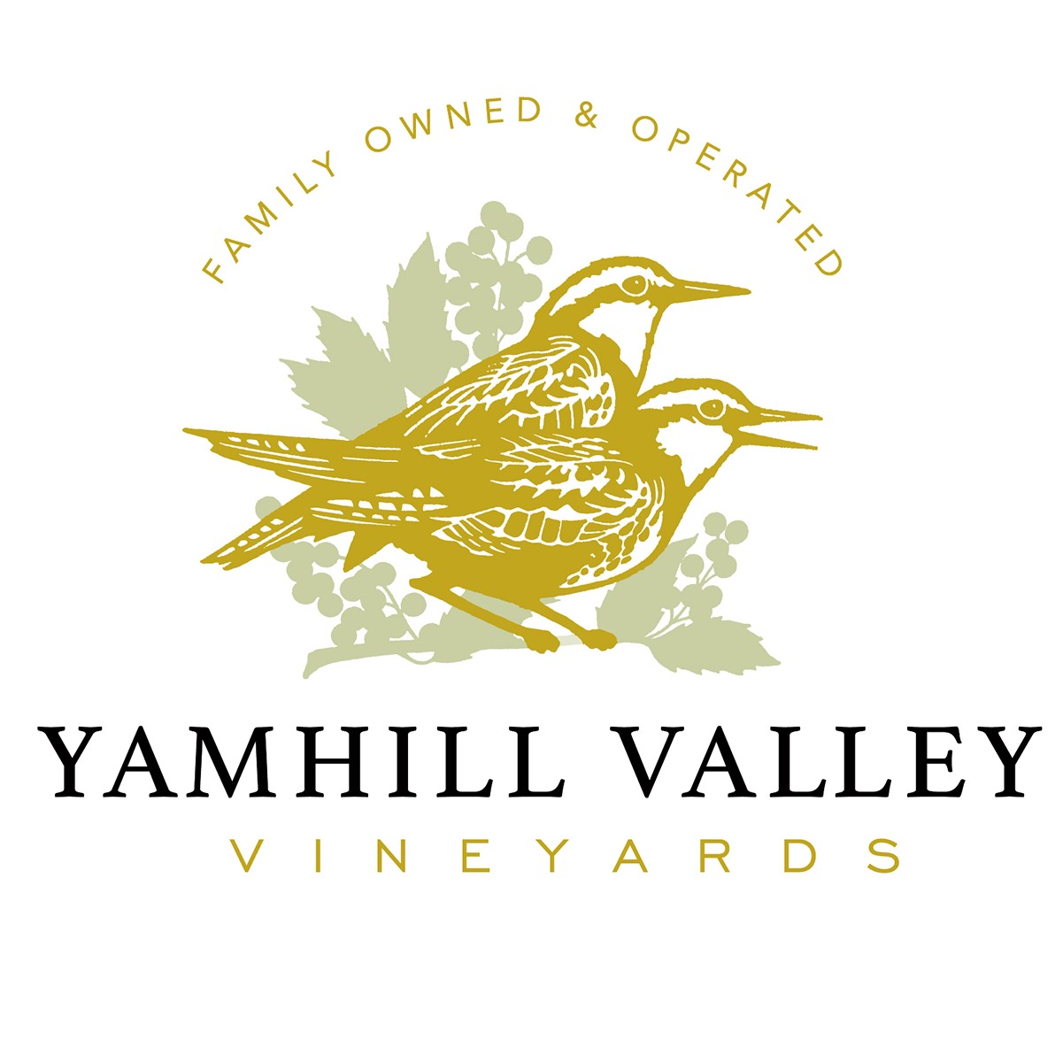 Yamhill Valley Vineyards