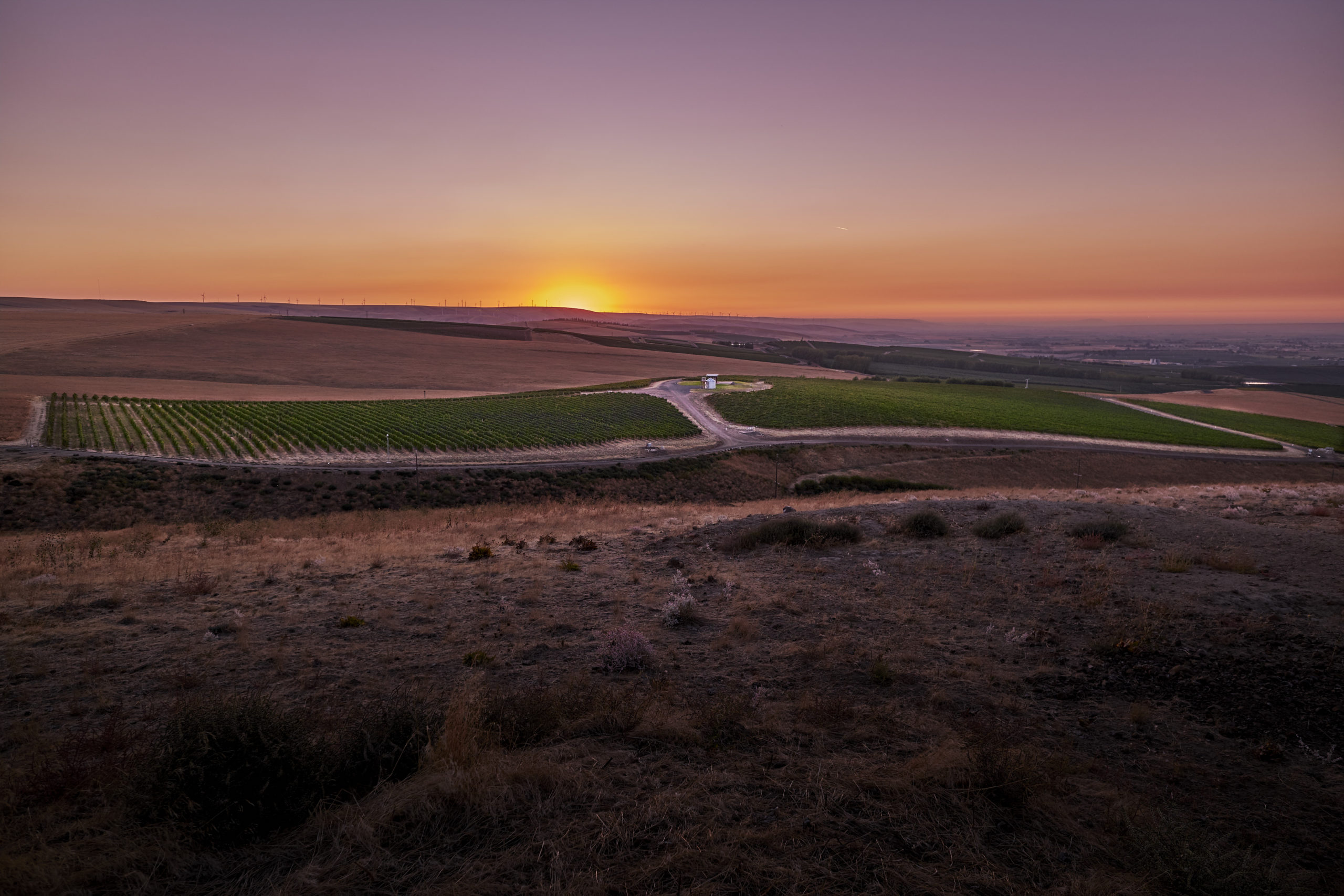 Dusted Valley