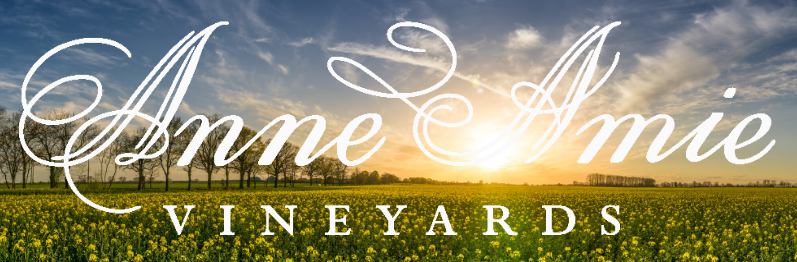 Anne Amie Vineyards